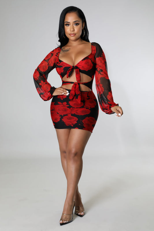 Lori Babe Dress